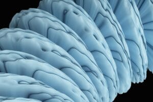 Hambre emocional: por qué tu cerebro te obliga a comer a las 11 PM