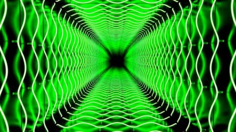 zonanerd 1771698067487