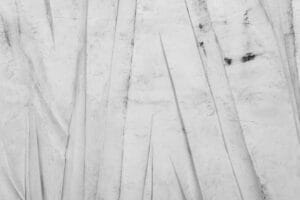 IA: El dilema de Anthropic sin regulación que afecta a Latinoamérica