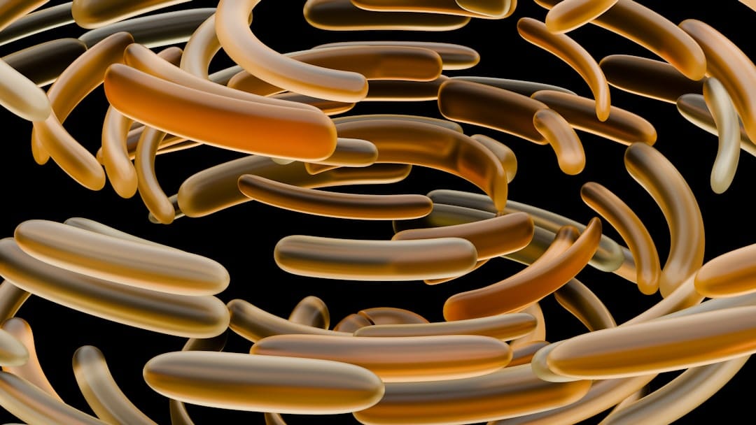 Superbacteria de fiebre tifoidea: la vacuna es nuestra única defensa 1 Superbacteria de fiebre tifoidea: la vacuna es nuestra única defensa