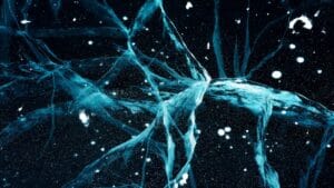 Neurociencia: qué ocurre en tu cerebro al rezar o meditar
