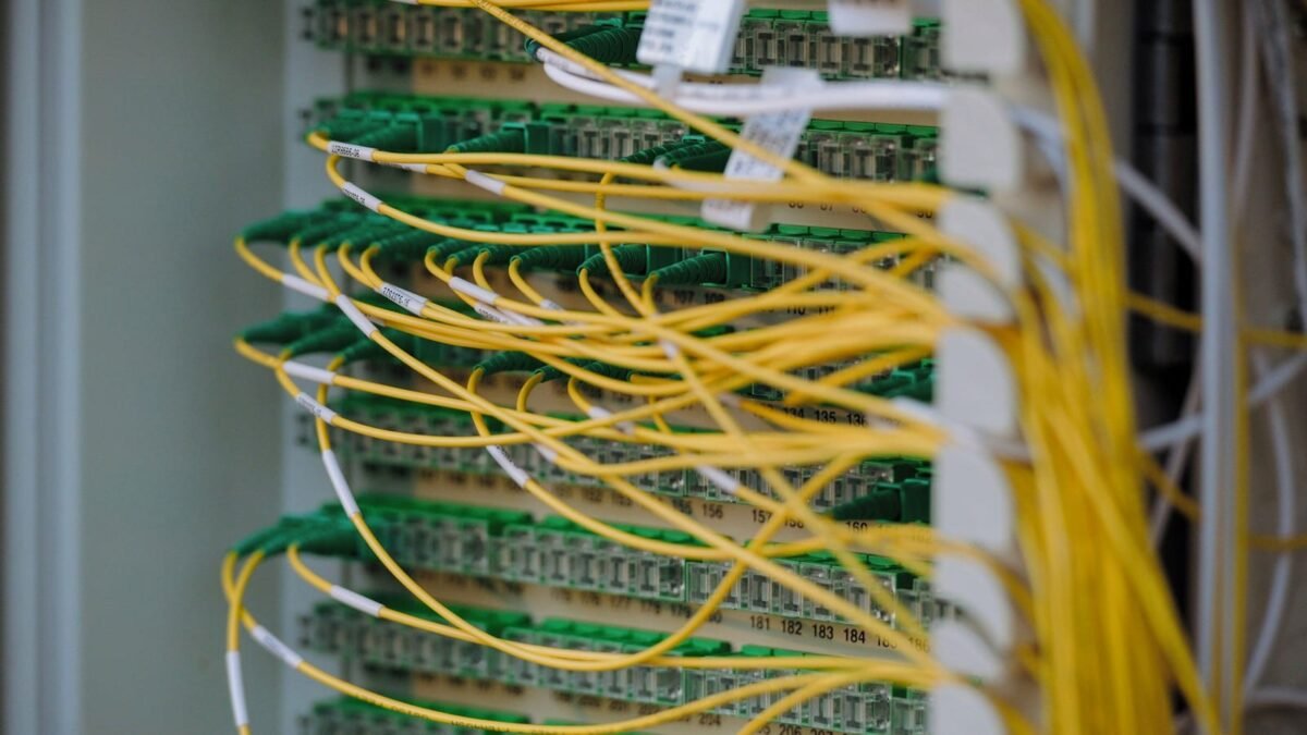 DeepSeek revive la eficiencia: cómo el software verde ahorra dinero en IA
