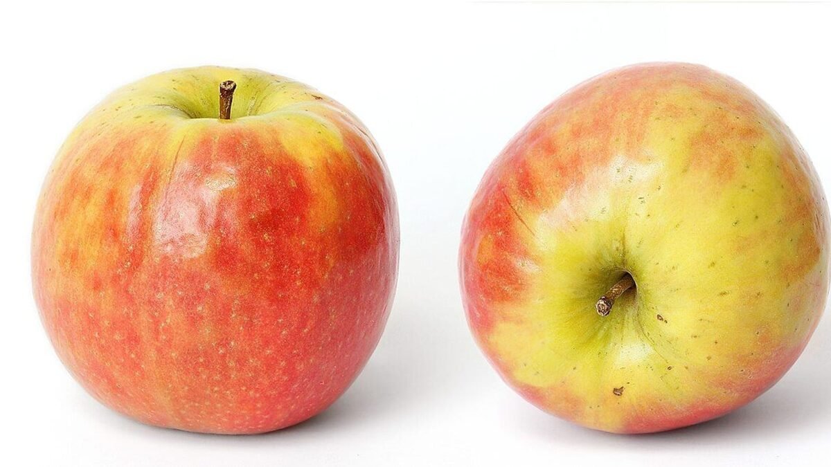 iPad Air M4 a 769 euros: Amazon agota stock en su mejor oferta